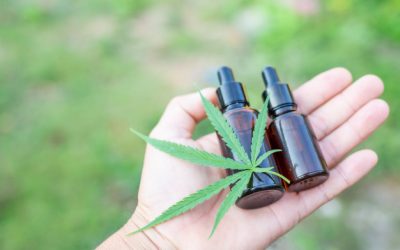 Uso Medicinal da Maconha? Ou Cannabis??